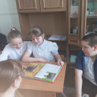 Экологический час «Загадочный мир дикой природы» 3