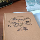 Книжная выставка «И была тут битва великая» 4