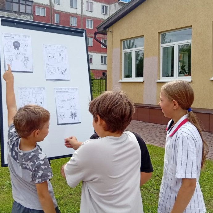 Познавательный час «Кошки на окошке»