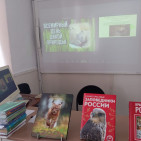 Экологический час «Загадочный мир дикой природы» 0