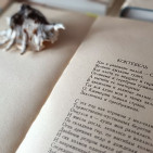 Книжно-иллюстративная выставка «Крым литературный» 6