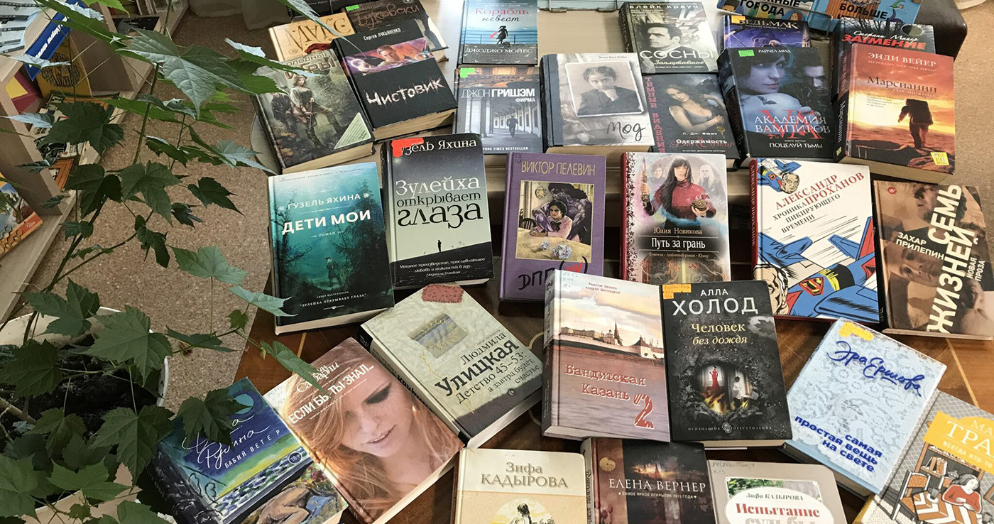 Книжные новинки, Анна Холод